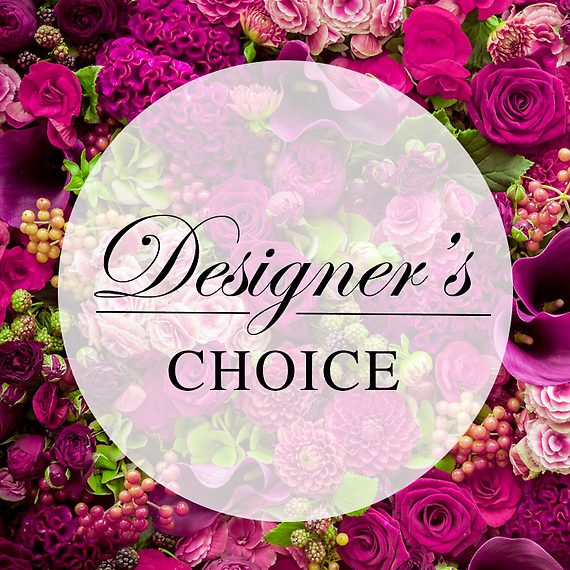 A Designers Choice Deal of Day