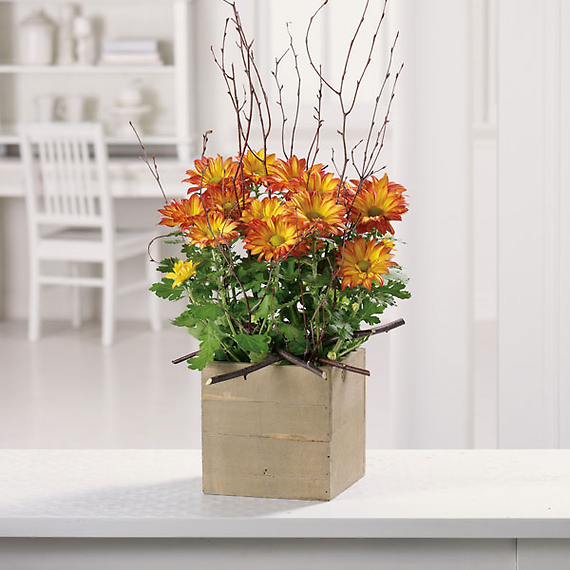 Woodland Mums Planter