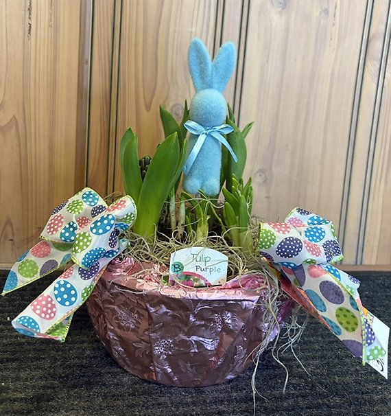 Easter Bulb Plant - Small