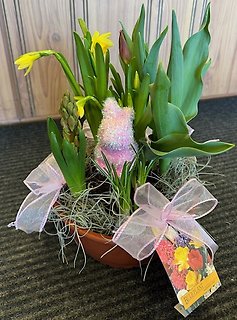 Easter Bulb Plant