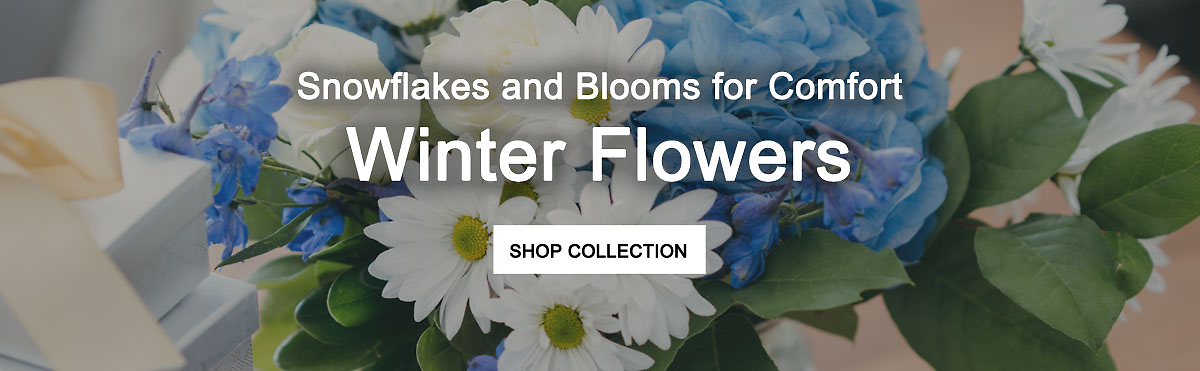 Winter Flower Collection