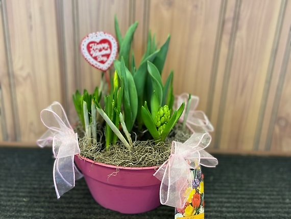 Spring Bulb Garden